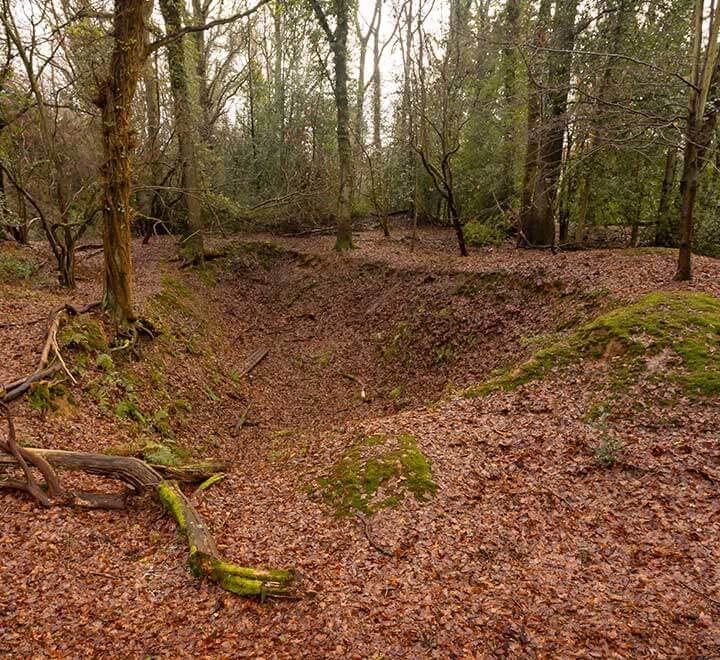 A clay pit among the trees on Marlow Common