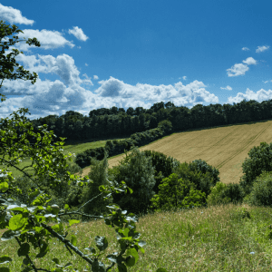 Fields, hedgerows and trees at Prestwood L.N.R.