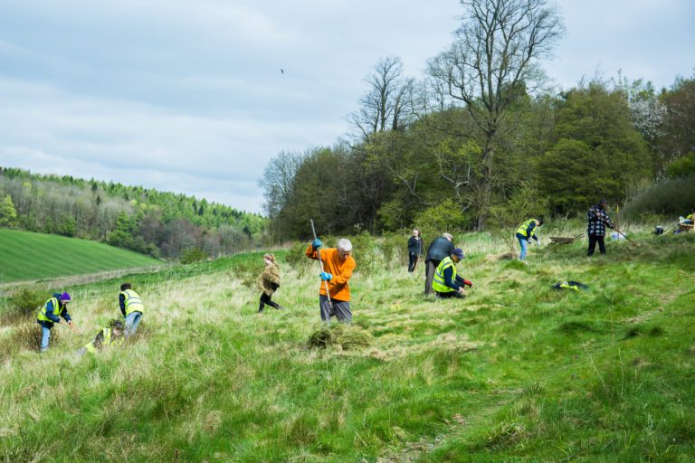 Ten volunteers clearing the ground of long grass