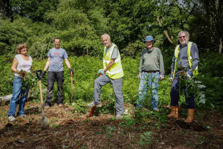 Five volunteers clearing bracken from Marlow Common