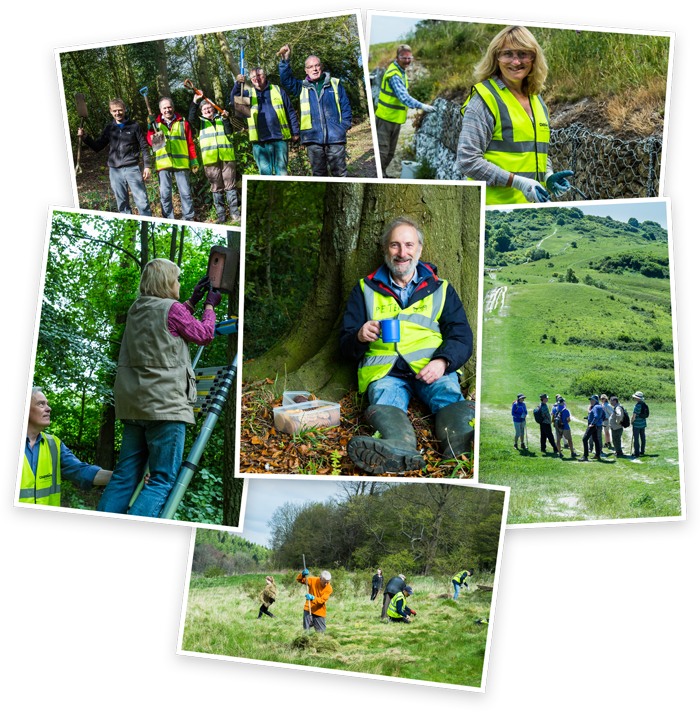 A montage of six photos showing happy volunteers at work