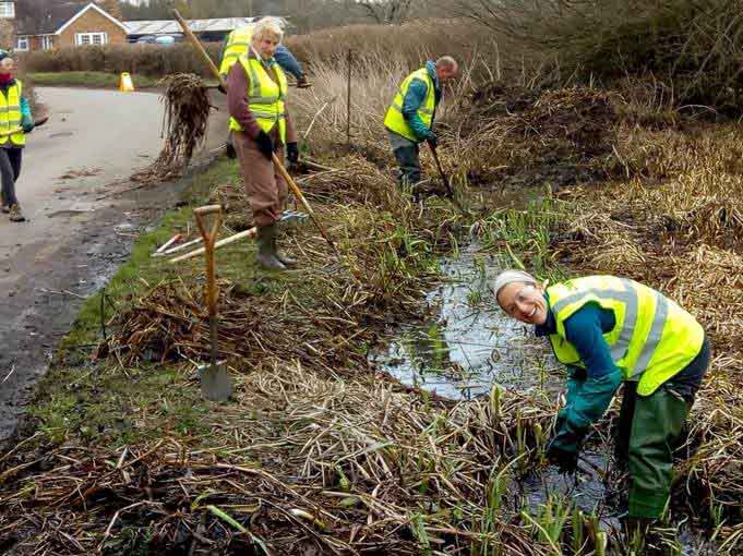 Five volunteers clearing reeds and iris from a pond