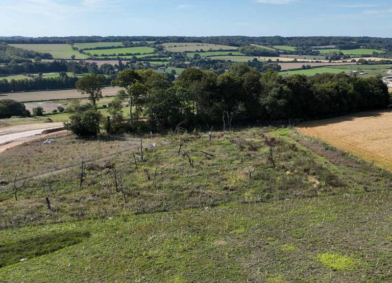 New habitat on HS2 route