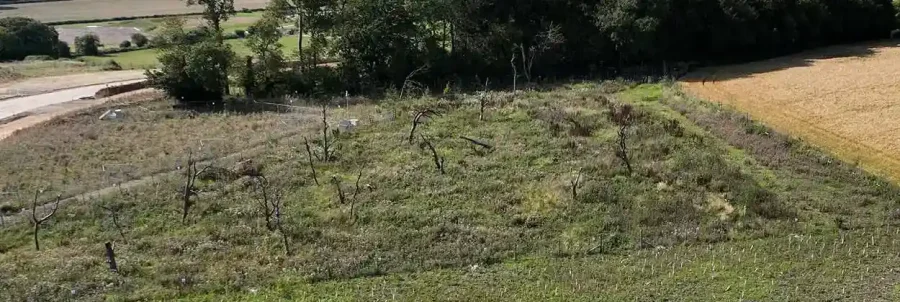 New habitat on HS2 route