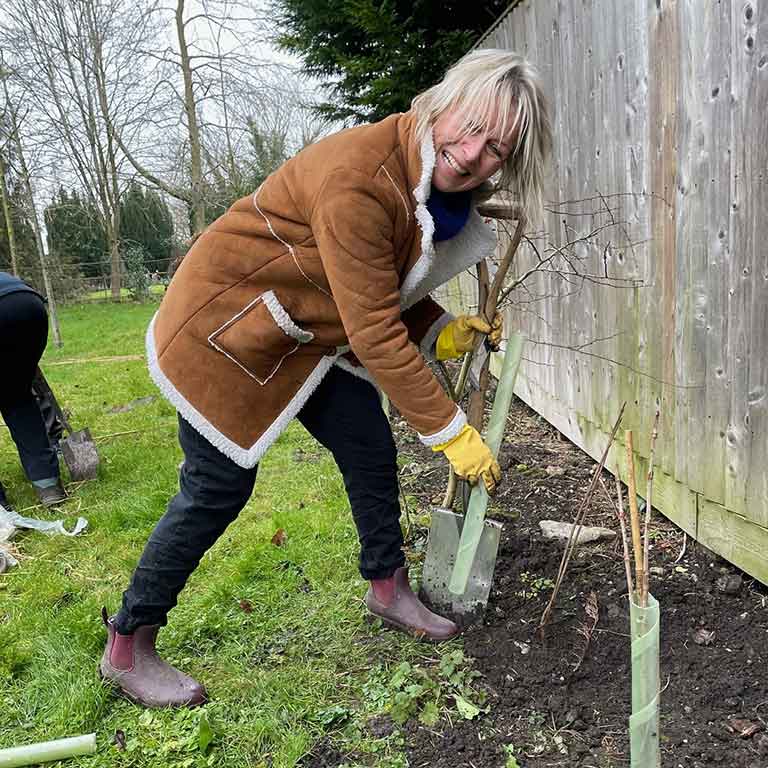 A smiling volunteer planting a hedging plant close to a larch lap fence