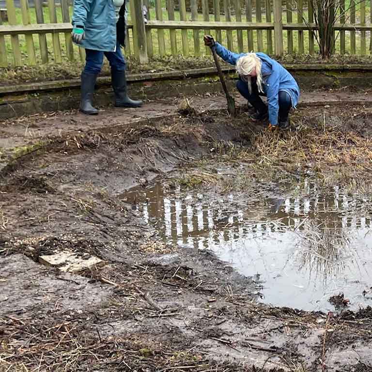 Two volunteers clearing a partially drained pond of overgrowth and debris