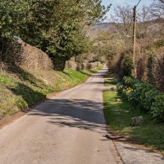 (03) Bacombe Lane looking east - Apr. 2016 (23_15)