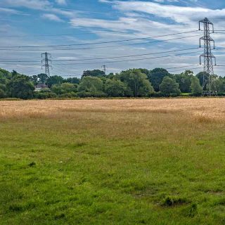 (03) Looking south along the South Heath cutting towards the tunnel portal - Aug. 2016 (08_96)