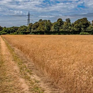 (04) Cottage Farm overbridge west - Aug. 2016 (15_10)