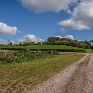 (04) Haul Road looking east - Apr. 2017 (09_27)