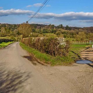 (06_20) Bottom House Farm Lane looking east - Mar. 2019 (04b_127)