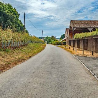 (07_06) Bottom House Farm Lane looking west - Aug. 2022 (04b_117)