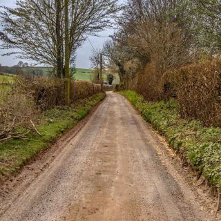 (07_25) Bottom House Farm Lane looking west - Mar. 2019 (04b_98)