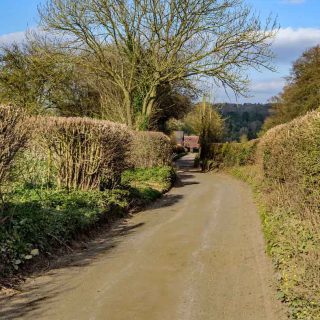 (07_28) Bottom House Farm Lane looking east – Mar. 2019 (04b_95)