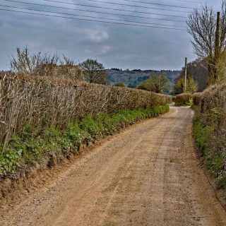 (08_07) Bottom House Farm Lane looking east – Mar. 2019 (04b_80)
