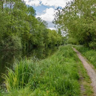 (09) Grand Union Canal looking west - May 2020 (01_18)
