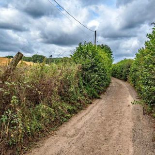 (10_07) Bottom House Farm Lane looking west - Aug. 2019 (04b_32)