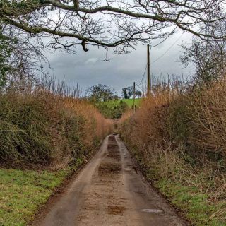 (10_20) Bottom House Farm Lane looking west - Mar. 2016 (04b_19)