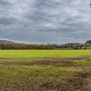 (11) Rocky Lane looking north - Feb. 2016 (19_08)