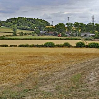 (11) Looking south from PRoW Wen 39/1 towards Durham Farm - Aug. 2010 (18_32)