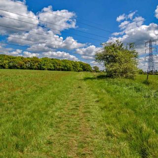 (13) PRoW GM13 looking east - May 2019 (11_13)