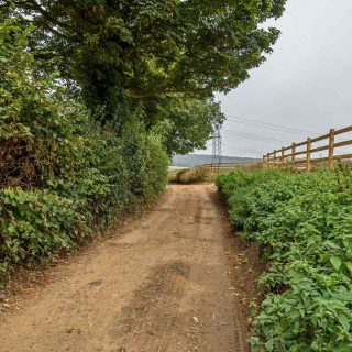 (133) Bowood Lane looking west- Sep. 2021 (17_151)