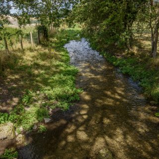 (145) River Misbourne north - Aug. 2020 (04_131)