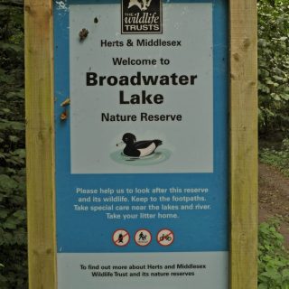 (15) Broadwater Lake Reserve (01_12)