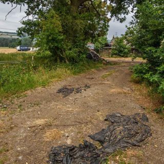 (17) PRoW  TLE 5?2 looking north towards Durham Farm - Jun. 2020 (18_26)