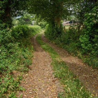 (18) PRoW TLE 5/2 south towards Durham Farm - Jun. 2020 (18_25)