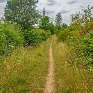 (18) PRoW Wen 57/1 looking north - Jul. 2019 (21_05)