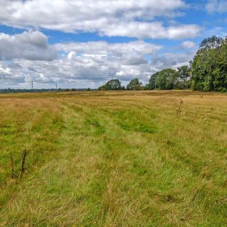 (19) Looking west across the haul road south of PRoW TLE2 - Aug. 2020 (13_22)