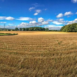 (19) PRoW TLE 2/2 looking north towards Bowood Lane - Sep. 2019 (16_03)