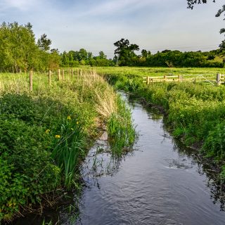 (214) River Misbourne looking south from Bottom House Farm Lane - May 2020 (04a_244)