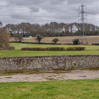 (11) Bowood Lane looking east towards Jones' Hill Wood - Mar. 2021 (17_69)