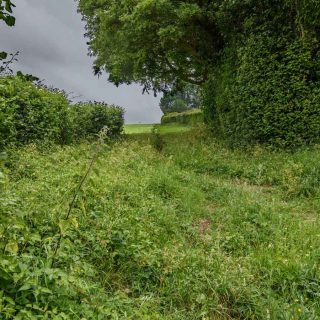 (23) PRoW TLE 5/2 looking east towards Strawberry Hill Farm - Jun. 2020 (18_20)