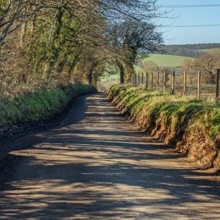 (24) Leather Lane looking west - Feb. 2021 (14_36)