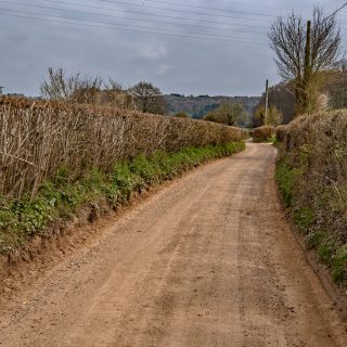 (25) Bottom House Farm Lane looking east - Mar. 2019