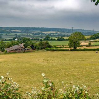 (25) PRoW TLE 5/2 north towards Durham Farm - Jun. 2020 (18_18)