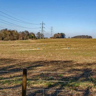 (29) Leather Lane looking north towards Jone's Hill Wood - Feb. 2021 (14_31)