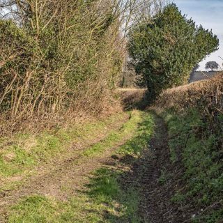 (29) PRoW Wen 39/1 looking east - Feb. 2016 (18_14)