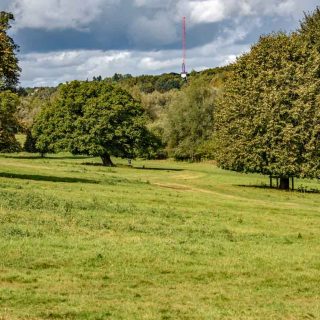 (299) Looking north towards the River Misbourne and the Little Missenden vent shaft - Sep. 2023 (05_312)