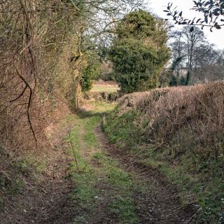 (30) PRoW Wen 39/1 looking east - Feb. 2016 (18_13)