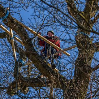 (32) Leather Lane protest to protect the trees - Feb. 2021 (14_28)