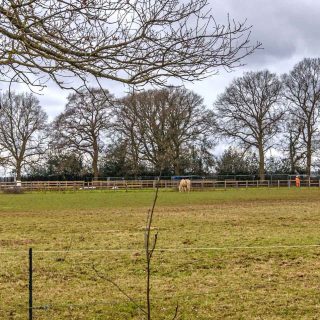 (33) Looking towards Leather Lane from Potter Row - Mar. 2021 (14_51)