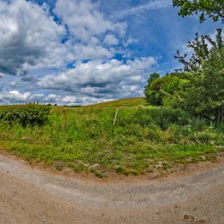 (39) Bottom House Farm Lane looking north - June 2019