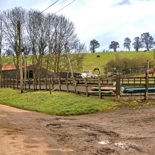(42) Chalfont Valley Equestrian looking east - Feb. 2016 (04a_72)