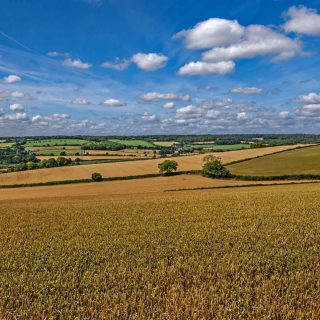 (42) King's Lane looking north - Aug. 2019 (18_01)