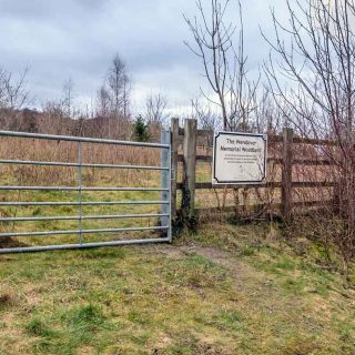 (49) Wendover Memorial Woodland - Feb. 2023 (22_69)