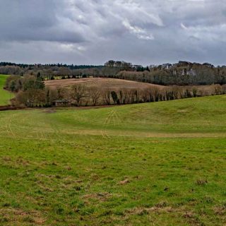 (505) Looking west across the Chalfont St Giles vent shaft site towards Hobbs Hole - Feb. 2016 (04_558)